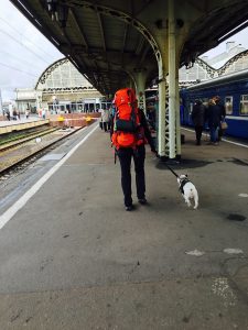 #transsiberien #transsiberian #voyageraveunchien #travel #travelblog #traveldog #dogtrotter #russia #visitrussia #loverussia #frenchie #dogbagngo #travelwithdog #gaminthefrenchie #dogbagngo #triptranssiberian #train #trainavecchien